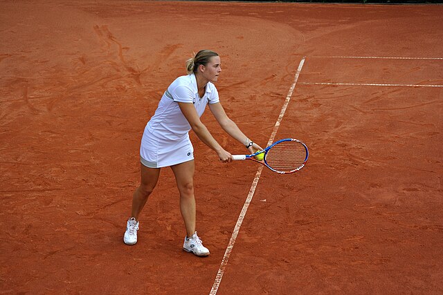 Фото: commons.wikimedia.org/ Steffen Schmitz/Creative Commons Attribution-Share Alike 3.0