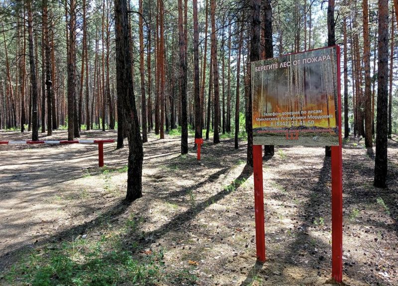 Фото: e-mordovia.ru