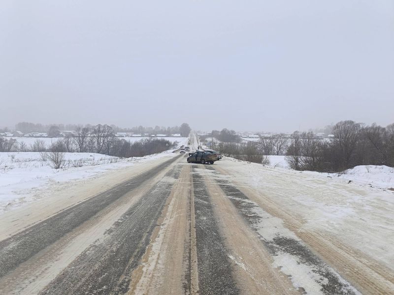 Фото: 13.мвд.рф