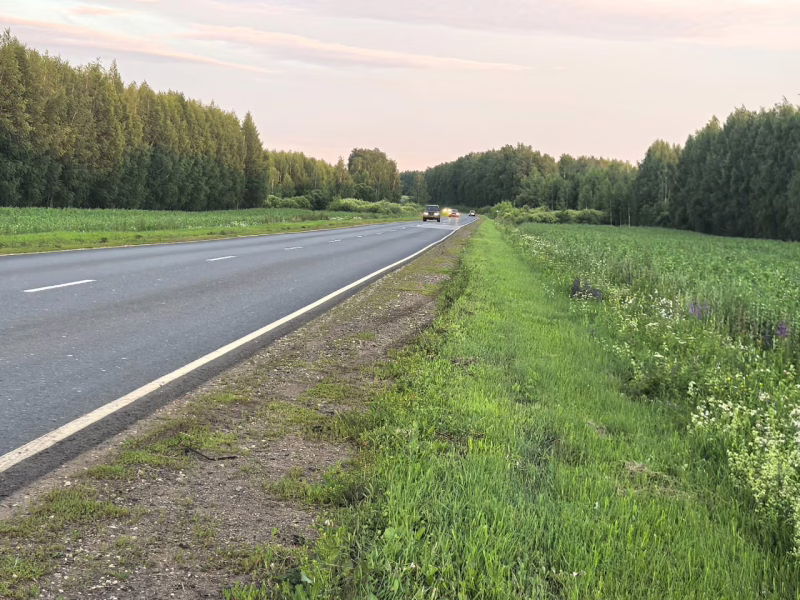 Фото: 13.мвд.рф