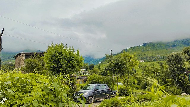 Фото: commons.wikimedia.org/Listen Shahid1/Creative Commons Attribution-Share Alike 4.0