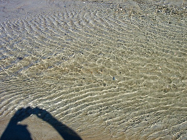 Фото: commons.wikimedia.org/Txllxt TxllxT/Creative Commons Attribution-Share Alike 4.0