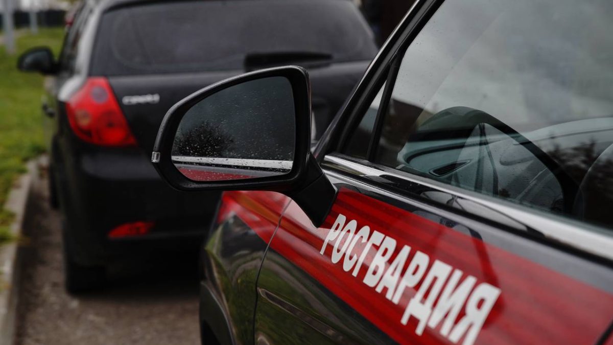 Фото: 13.rosguard.gov.ru