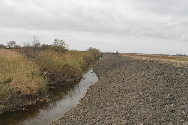 Фото: commons.wikimedia.org/Владимир Некрасов/Creative Commons Attribution-Share Alike 4.0