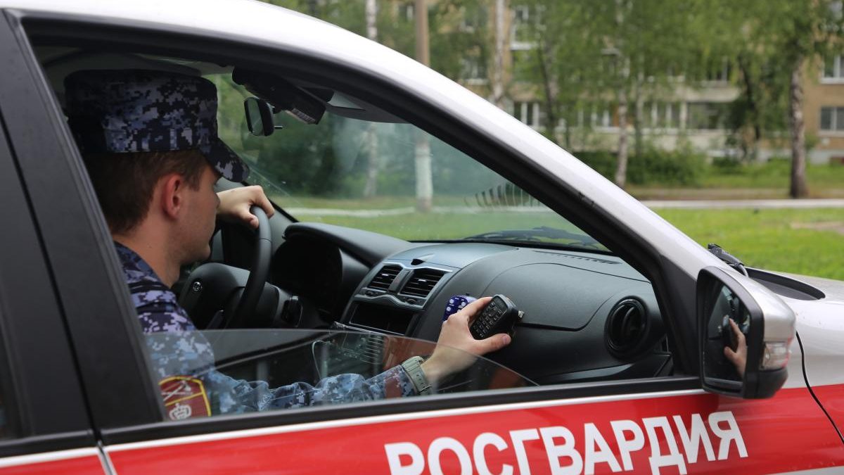 Фото: 13.rosguard.gov.ru