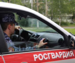 Фото: 13.rosguard.gov.ru