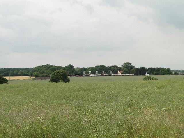 Фото: commons.wikimedia.org/Adrian S Pye/Creative Commons Attribution-Share Alike 2.0