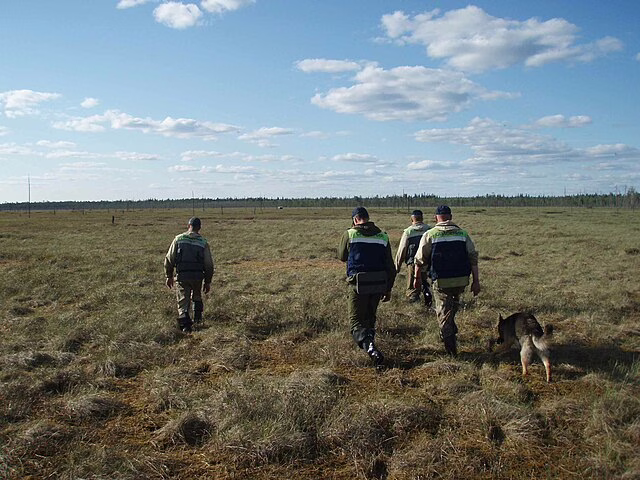 Фото: commons.wikimedia.org/АннаВо/Creative Commons Attribution-Share Alike 3.0