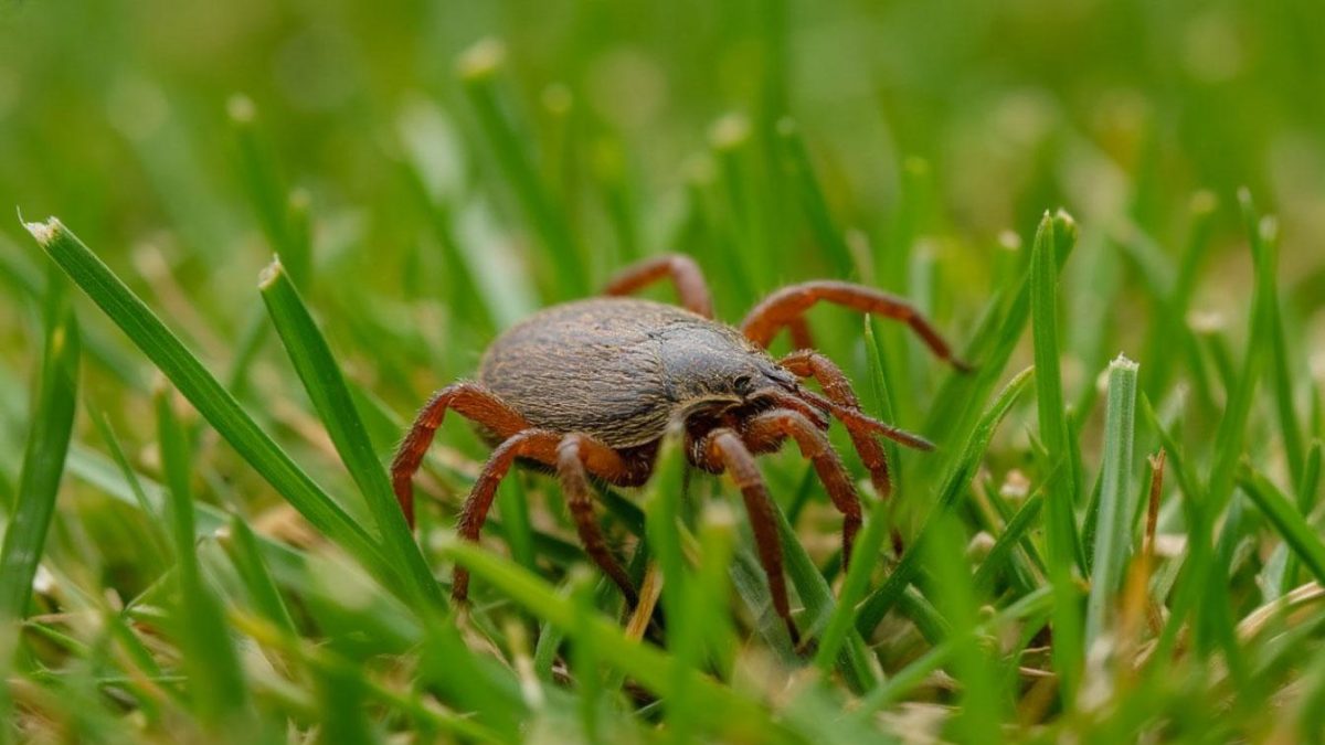 Фото сгенерировано нейросетью