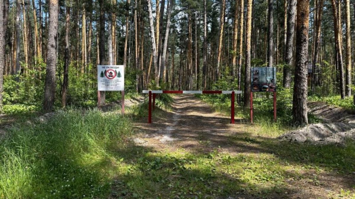 Фото: Минлесхоз РМ