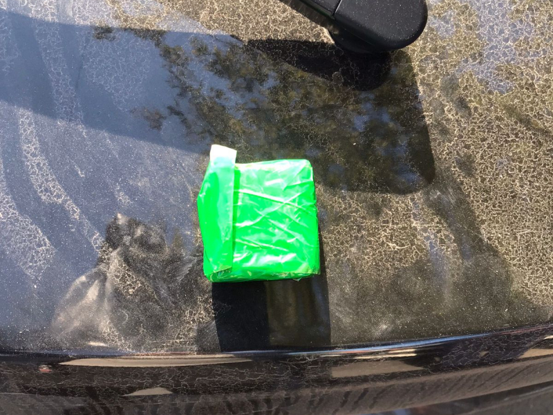 Фото: 13.мвд.рф