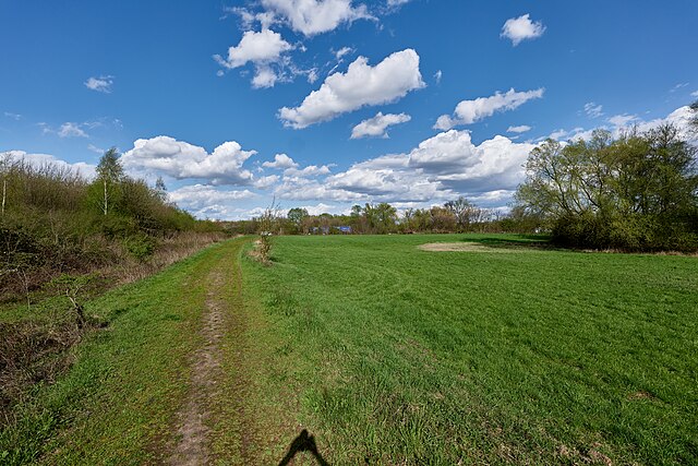 Фото: commons.wikimedia.org/Leonhard Lenz/Creative Commons Zero, Public Domain Dedication