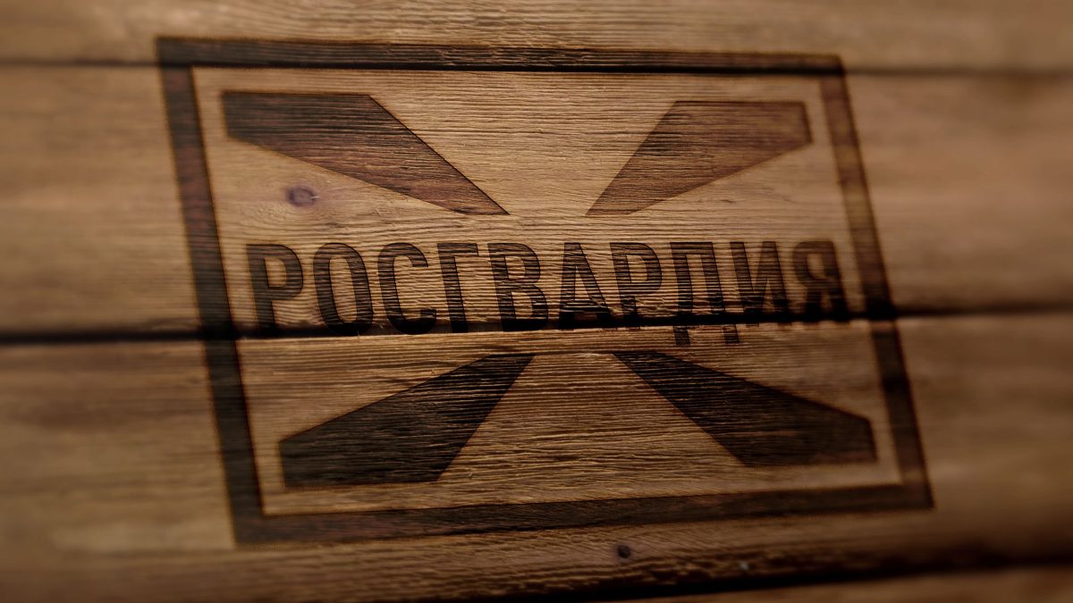 Фото: 13.rosguard.gov.ru