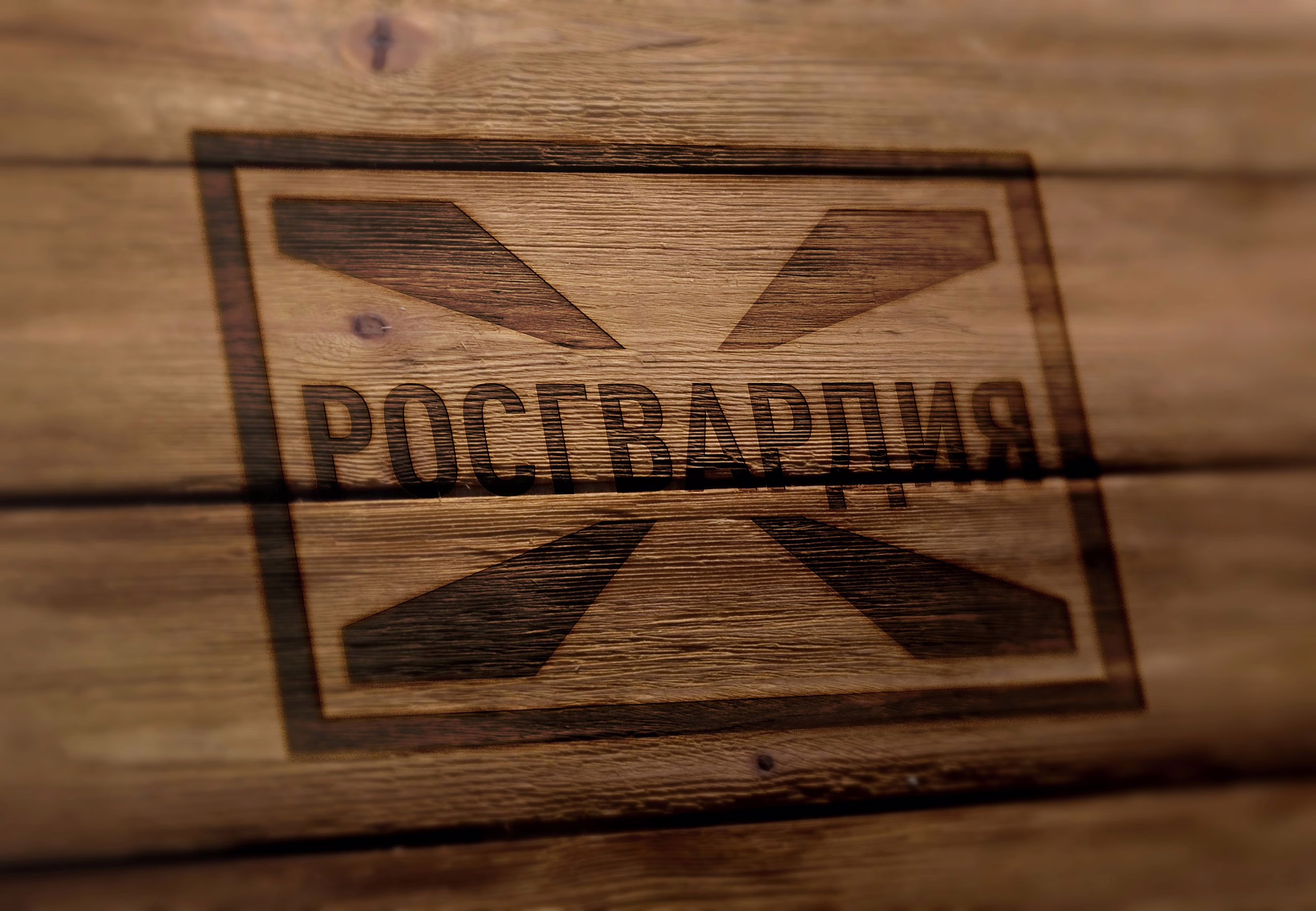 Фото: 13.rosguard.gov.ru