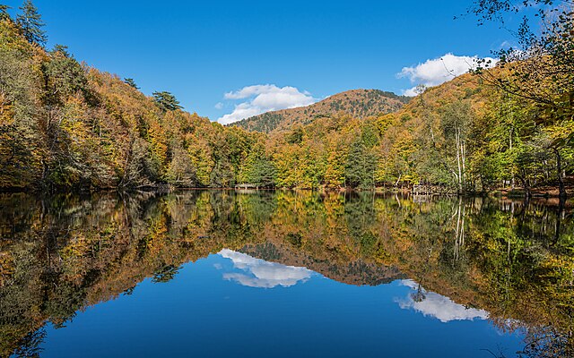 Фото: commons.wikimedia.org/A.Savin/Free Art License