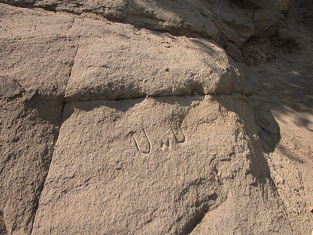 Фото: commons.wikimedia.org/Quinn Desilets/Creative Commons Attribution-Share Alike 4.0