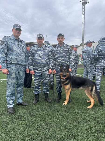 Фото: 13.мвд.рф