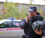 Фото: 13.rosguard.gov.ru