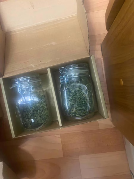 Фото: 13.мвд.рф