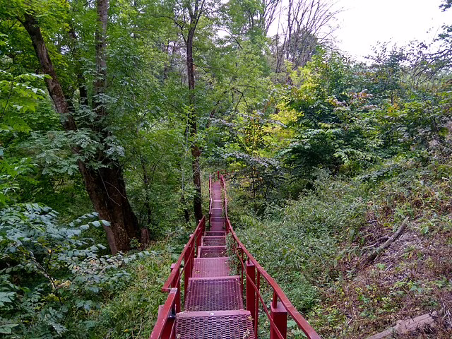 Фото: commons.wikimedia.org/Андрей Осиновский/Creative Commons Zero, Public Domain Dedication