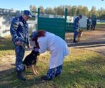 Фото: УФСИН по РМ