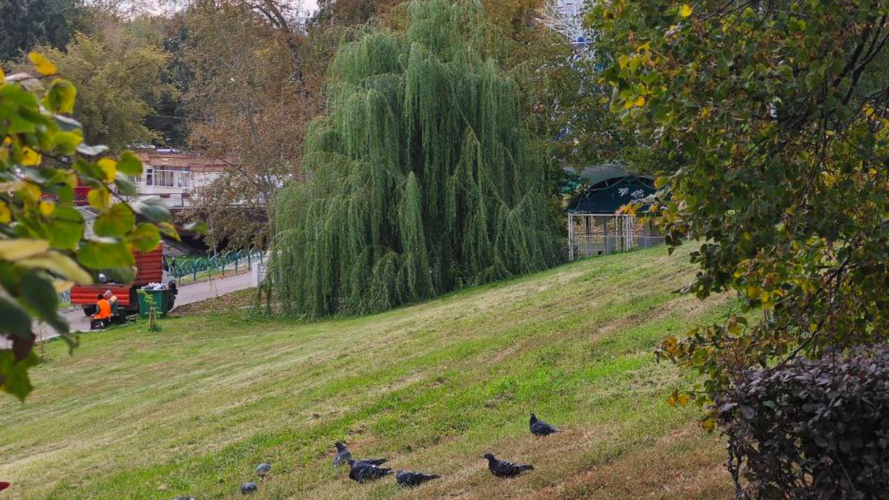 Фото: "Заповедная Мордовия"