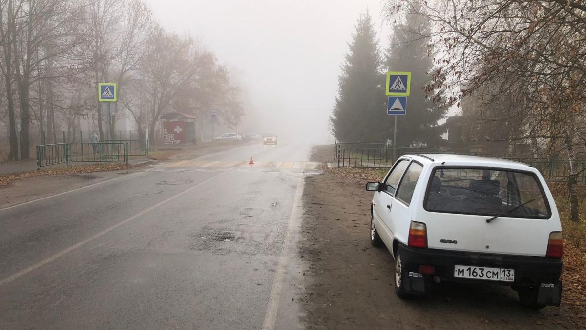 Фото: Госавтоинспекция Мордовии