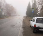 Фото: Госавтоинспекция Мордовии