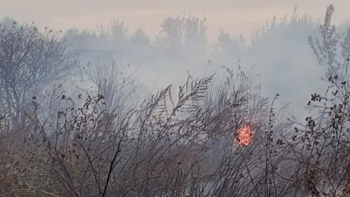 Фото: ЕДДС Краснослободского района