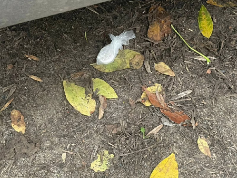 Фото: 13.мвд.рф