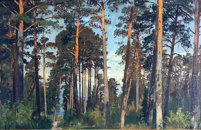 Фото: commons.wikimedia.org/Иван Иванович Шишкин/Public domain