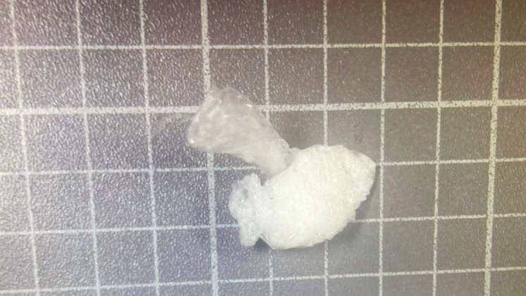 Фото: 13.мвд.рф