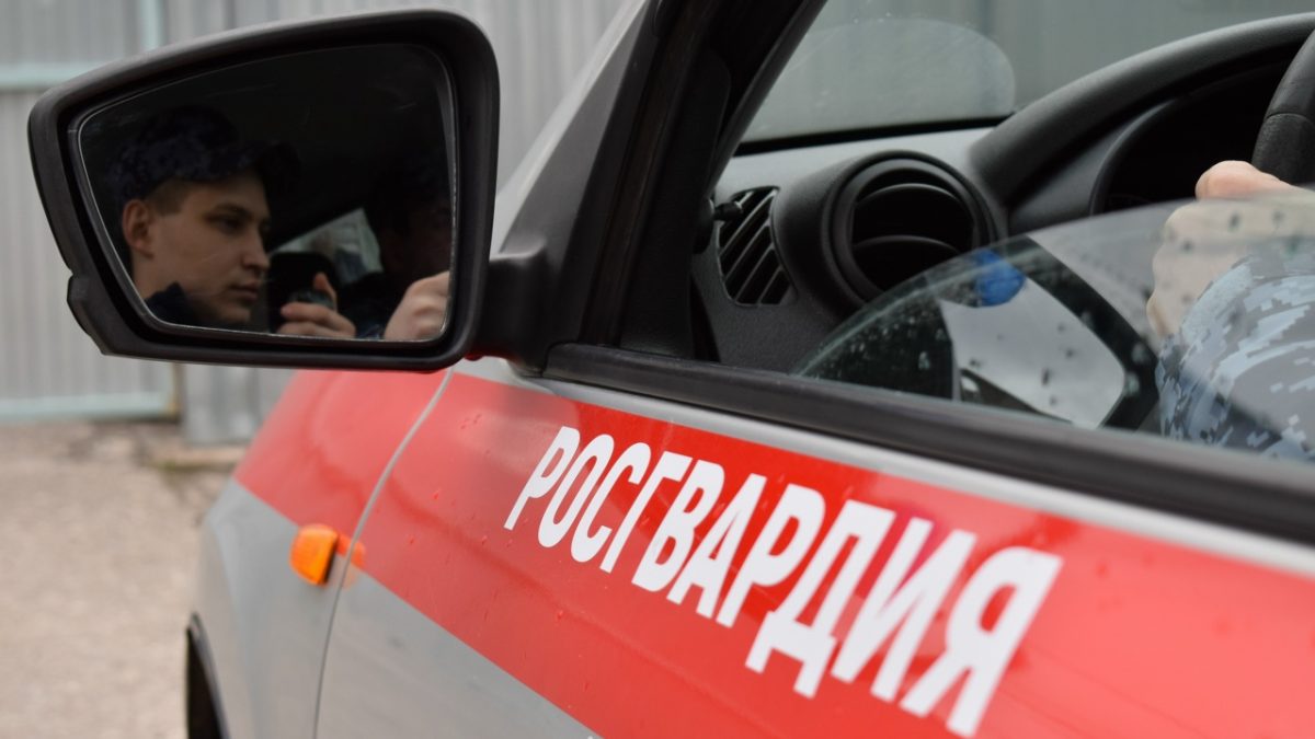Фото: 13.rosguard.gov.ru