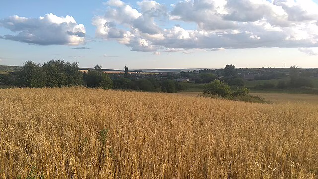 Фото: commons.wikimedia.org/Vaija/Creative Commons Zero, Public Domain Dedication