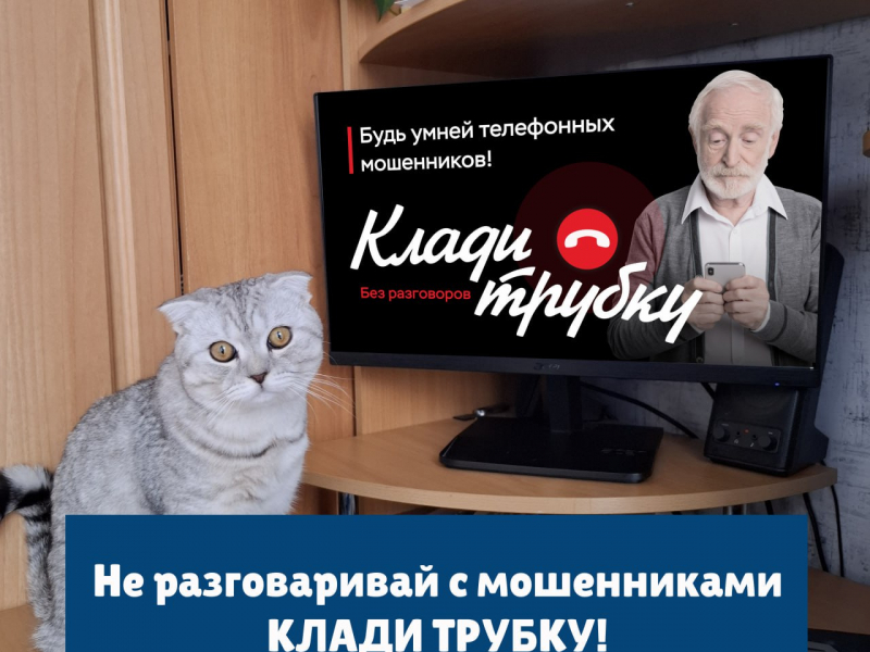Фото: 13.мвд.рф