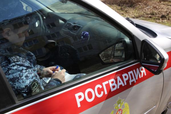 Фото: 13.rosguard.gov.ru