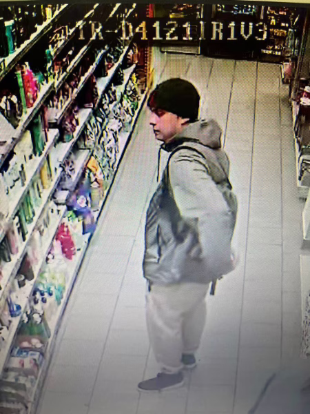 Фото: 13.мвд.рф