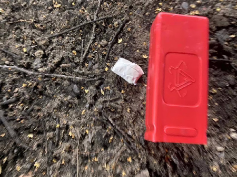 Фото: 13.мвд.рф