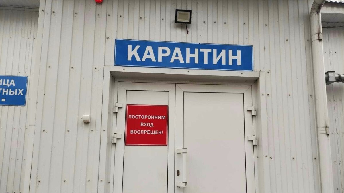 Фото: Государственный комитет по ветеринарии РМ