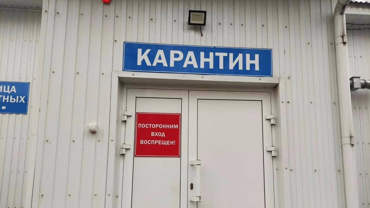 Фото: Государственный комитет по ветеринарии РМ