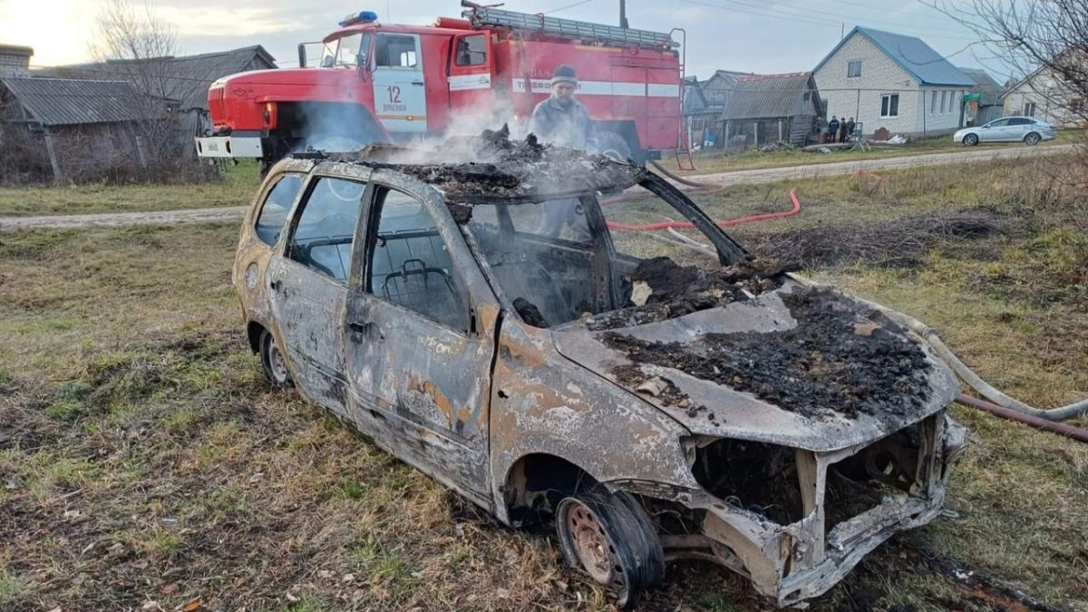 Фото: ГУ МЧС России по РМ