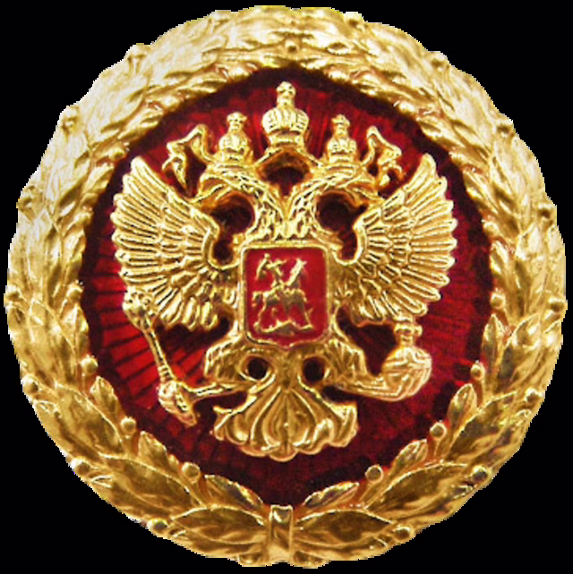 Фото: commons.wikimedia.org/Администрация Президента Российской Федерации/Public domain