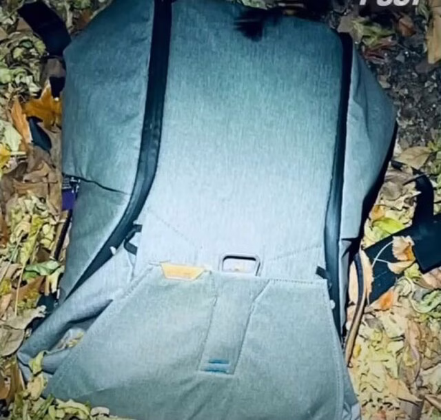 Фото: commons.wikimedia.org/US Department of Justice/Public domain