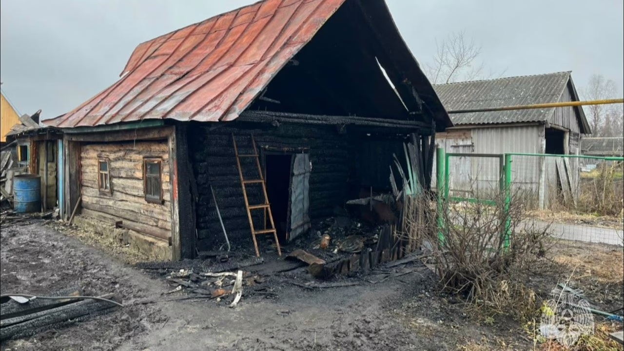 ФОТО: МЧС РМ