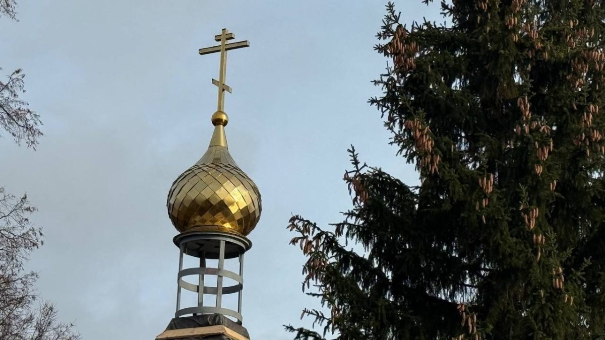 Фото: администрация Инсарского района