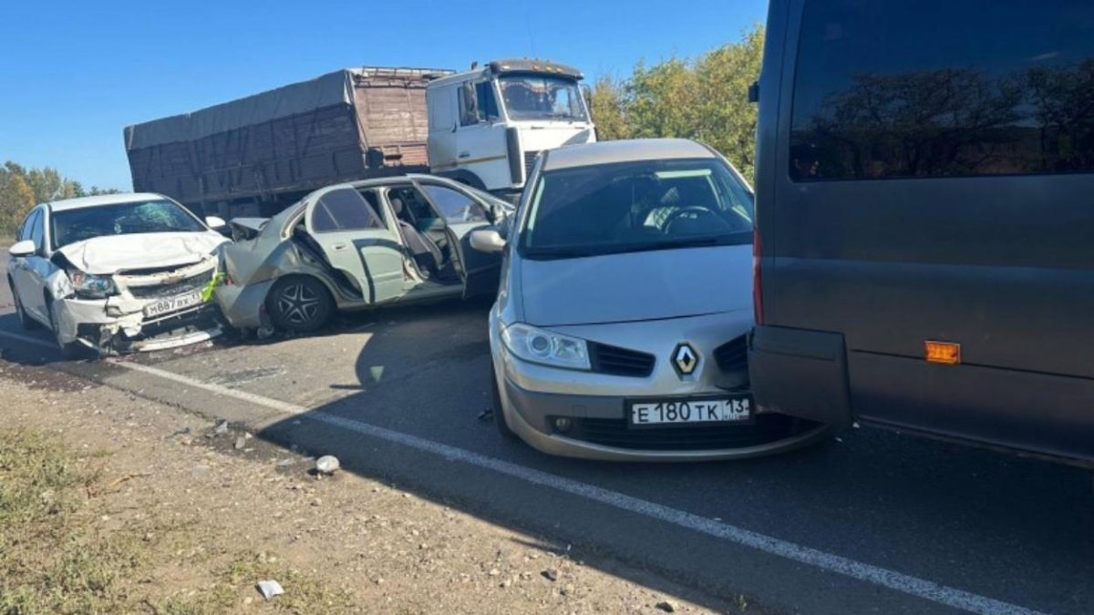 Фото: Госавтоинспекция Мордовии