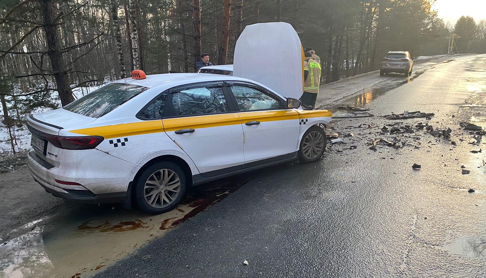 Фото: ГАИ Мордовии