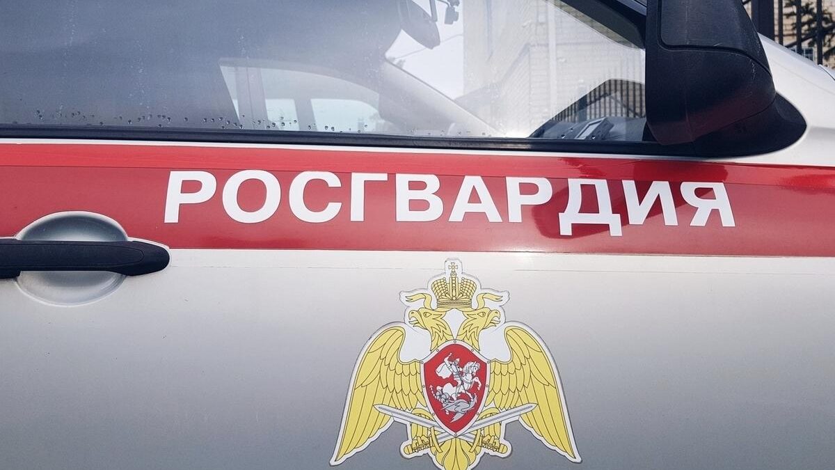 Фото; 13.rosguard.gov.ru
