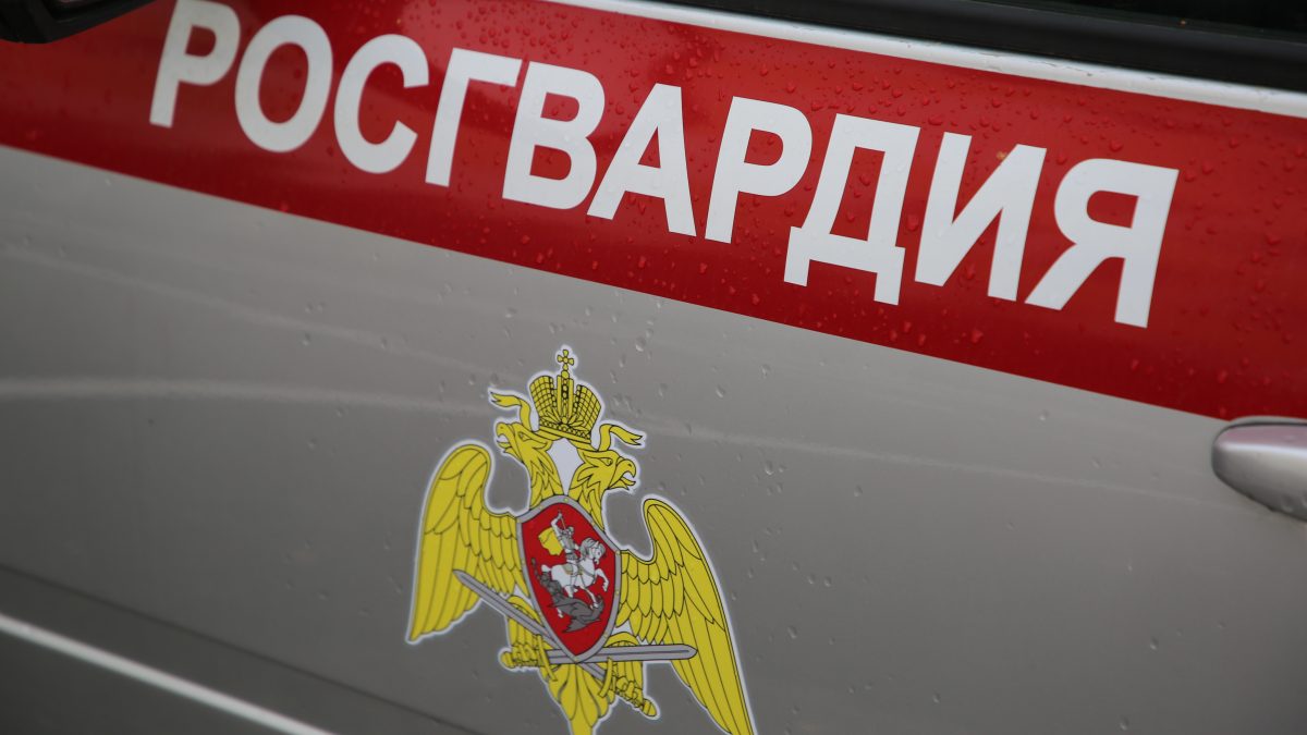 Фото: 13.rosguard.gov.ru