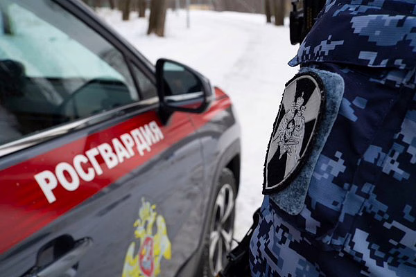 Фото: 13.rosguard.gov.ru